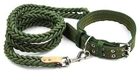 Aiwanto  Dog Rope Traction Belt Pet Dog Belt Dog Chain Neck Belt  with Rope(Green)