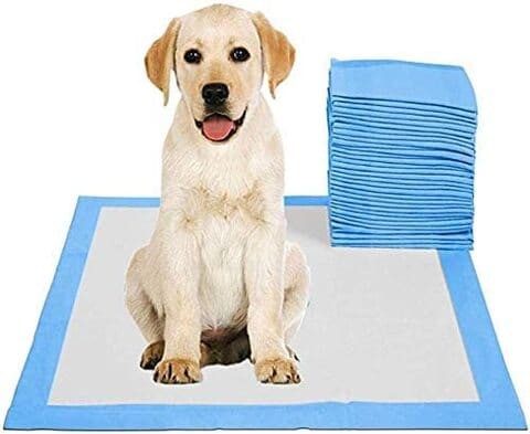 Jjone Disposable Absorbent Quick Drying Leak-Proof Pee Pads For Potty Training For Pets, 45X60cm M - 50 Pieces