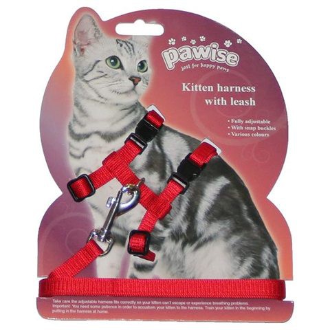 Pawise Kitten Harness With Leash Asst Colors