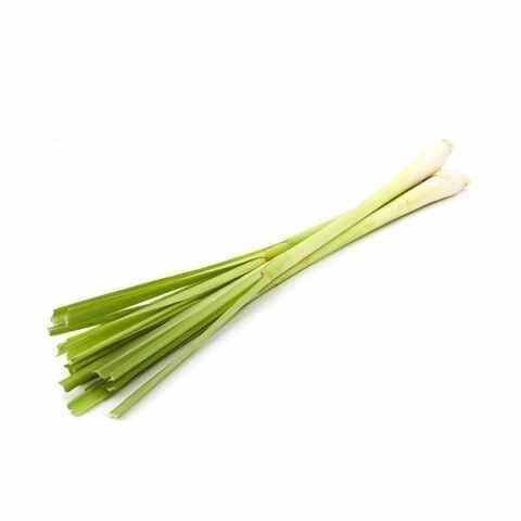 LEMON GRASS