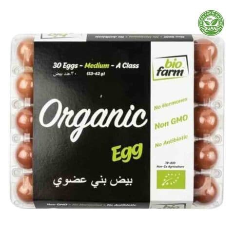 بيو فارم بيض عضوي × 30