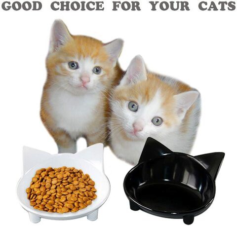 Lorde Shallow Cat Food Bowls (Set Of 2)