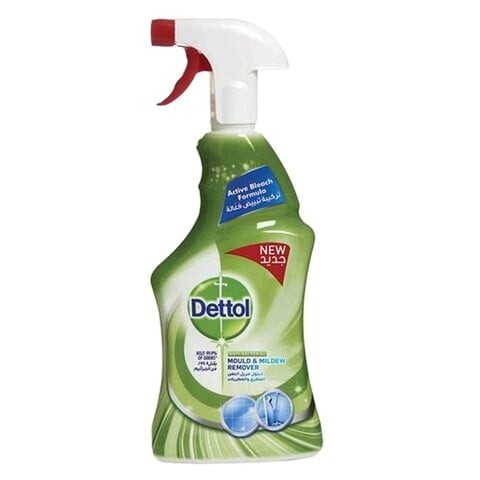 Dettol Body Spray Mildew Remover 500ml