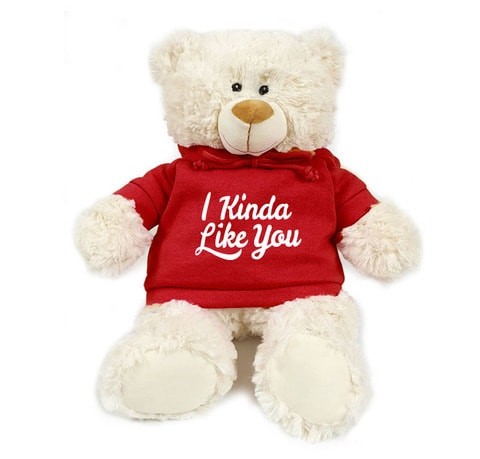 Caravan - a super soft teddy bear with a trendy red hoodie. I'm Canadian like you. Size: 38 cm. Perfect for birthday parties, boys and girls. Soft and cuddly.