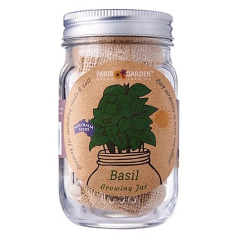 Paris Garden - Mason Jars Set - Transparent