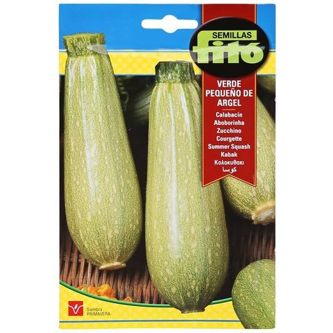 Phyto Summer Squash Verde Pequino de Leggle