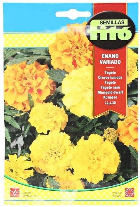 Phyto French Marigold Mix-545