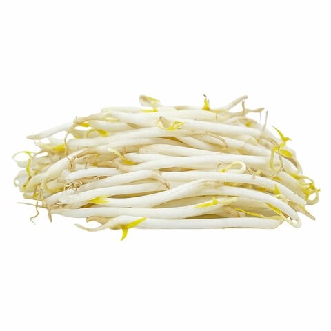 bean sprouts