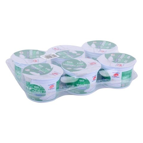 Al Ain Yogurt Full Fat 100 g x Pack of 6