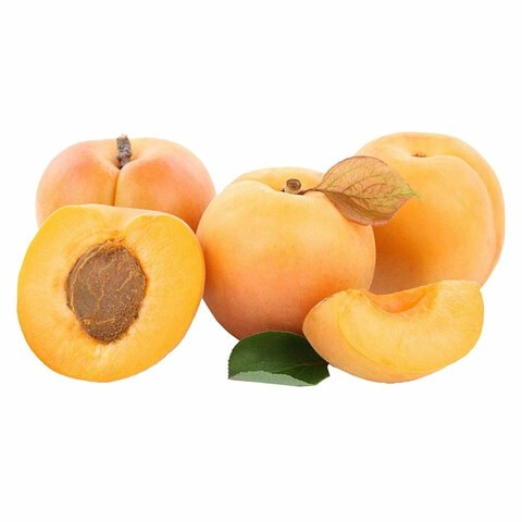 APRICOT