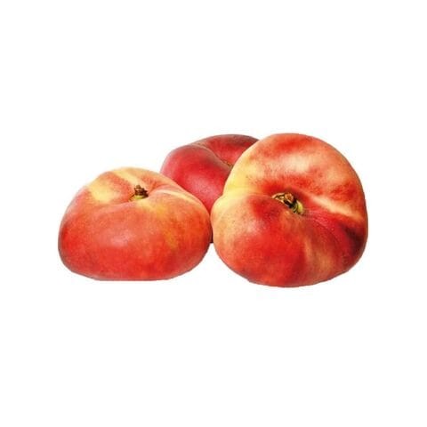 NECTARINE FLAT PP