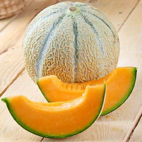 melon