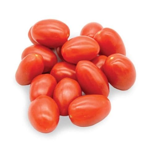 TOMATO ROMA CHERRY PP