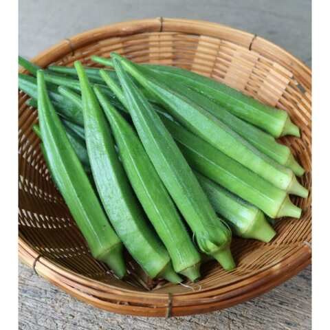 OKRA LONG