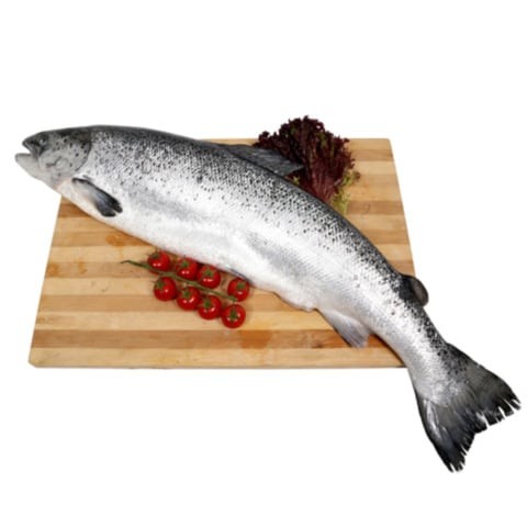 Fresh whole Norwegian salmon 2/3 kg