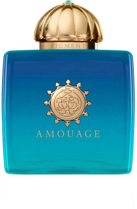 Amouage Vision EDP 100 ml