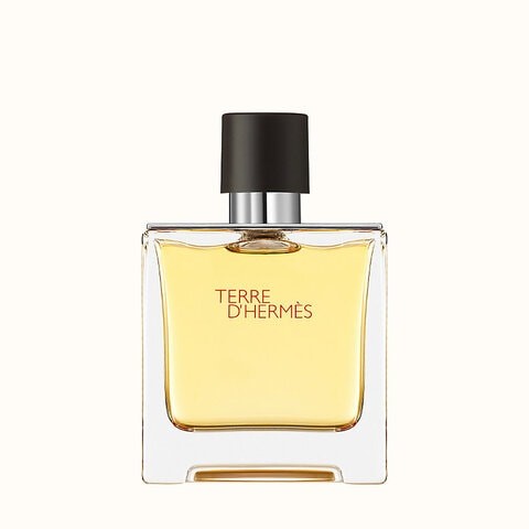 Hermes Terre de Hermes EDP 75 ml