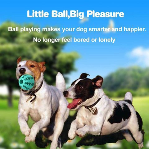 SAPU Dog Toy Ball, Nontoxic Bite Resistant Toy Ball for Pet Dogs Puppy Cat, Dog Pet Food Treat Feeder Chew Tooth Cleaning Ball Exercise Game IQ Training Ball 7CM,(Pack of 1), Assorted