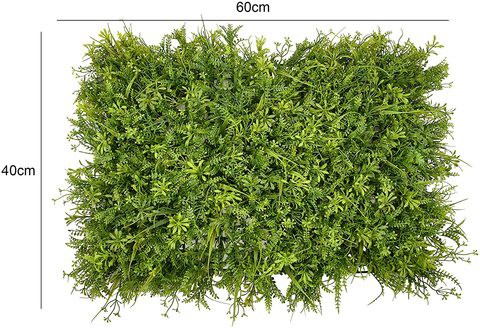 Franchi Sementi Jolly Universal Lawn Seeds (1 Kg)
