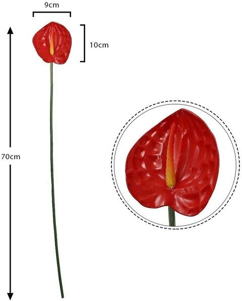Hibiscus Rosa Sinensis Outdoor Plant (10 L)