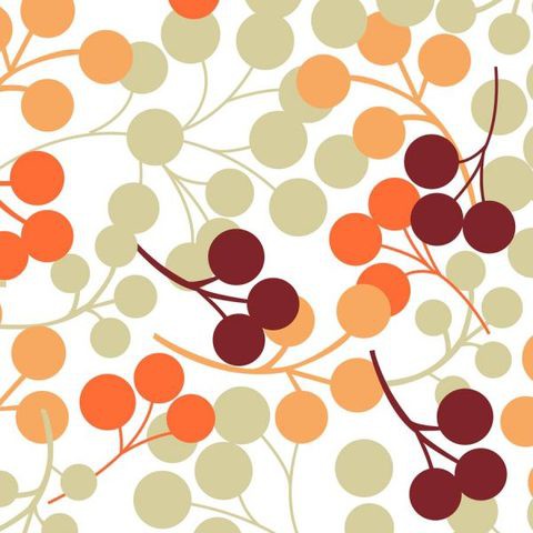 Berries Orange Translucent Roller Blinds W: 90cm H: 200cm