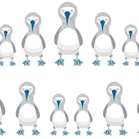 Blue Footed Booby Blackout Roller Blinds W: 120cm H: 200cm