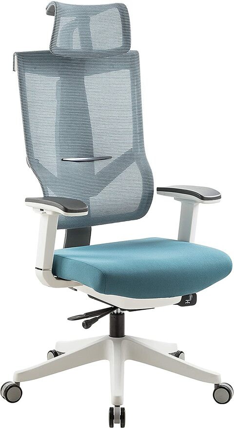 Aero Chair Ergonomic Design, Premium Office & Computer Chair with Multi-adjustable features by Navodesk (MARINE BLUE)