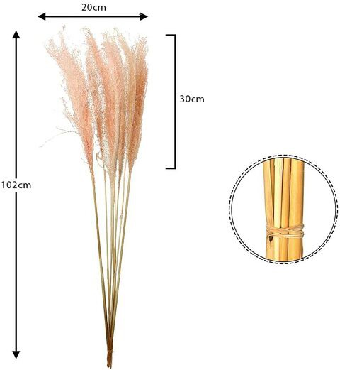 Yatai Natural Dried Pampas Grass Flowers - Pink