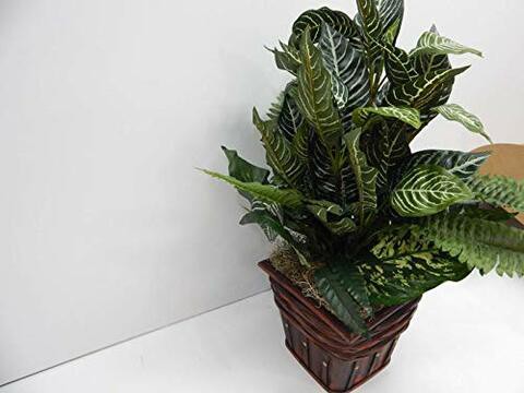 Nearly Natural 6528 Greens Zebra with Wicker Decorative Silk Plant, Green