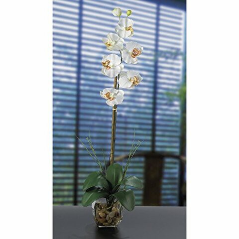 Nearly Natural 1104-CR Single Phalaenopsis Liquid Illusion Silk Flower Arrangement, Cream