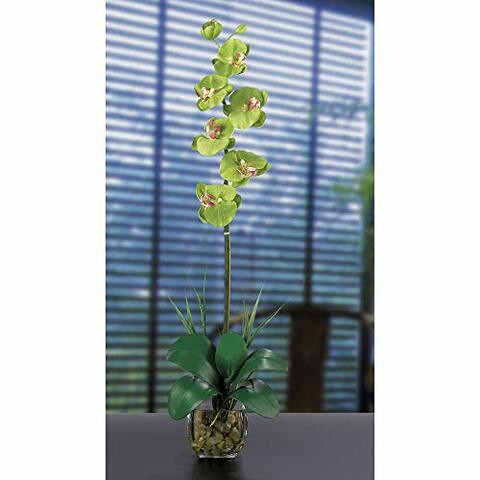 Nearly Natural 1104-GR Single Phalaenopsis Liquid Illusion Silk Flower Arrangement, Green