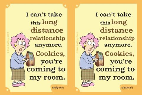 Tree-Free Greetings Sg23827 Hilarious Aunty Acid &quot;Long Distance Relationships&quot; By The Backland Studio Ltd. 16 Oz Stainless Steel Lined Tumbler