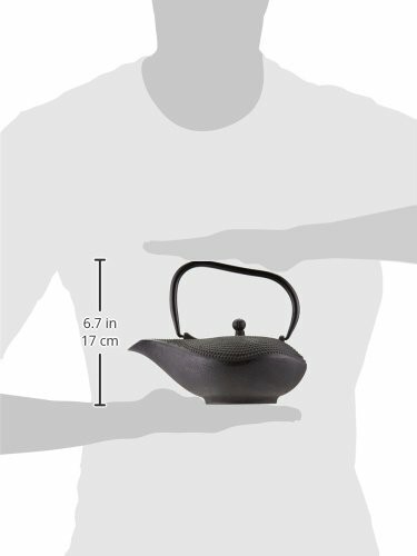 Miya Hobnail Genie Design 32-Ounce Cast Iron Teapot and Teacup Gift Set w/ Strainer and Trivet, Black