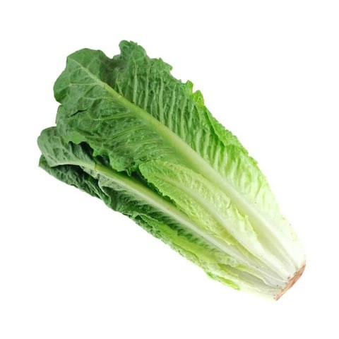 LETTUCE ROMAINE PP