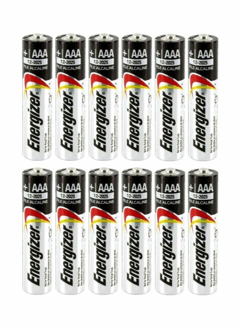 12-Piece Max AAA Battery Set Black/Silver