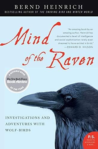 MIND OF THE RAVEN