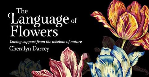 LANGUAGE OF FLOWERS