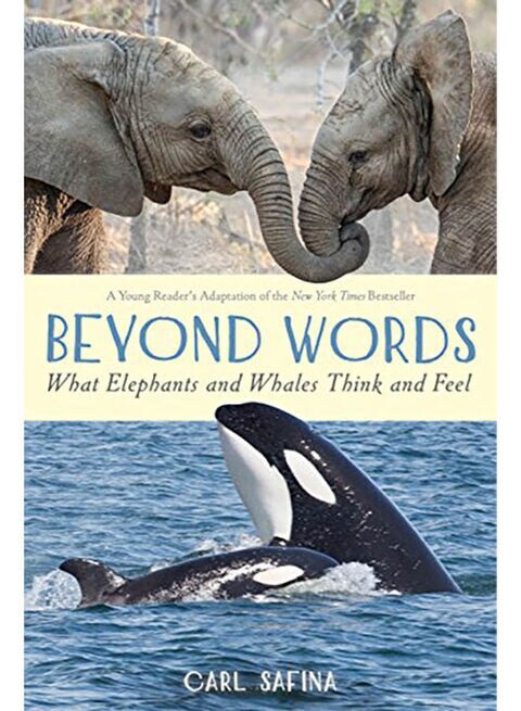 Beyond Words: What Elephants and Whales Think and Feel Hardcover English by Carl Safina - 2019