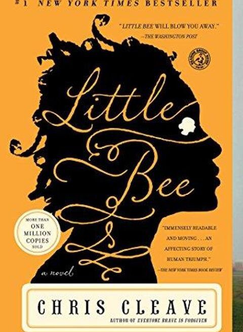 Little Bee - Paperback Reprint Edition