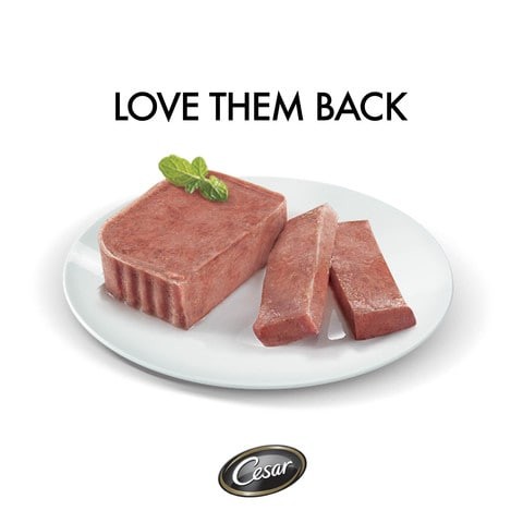 CESAR BEEF 100G