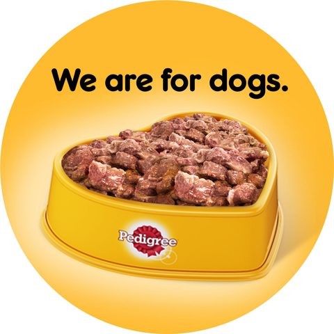 Pedigree Wet Dog Food Chicken Loaf 400g