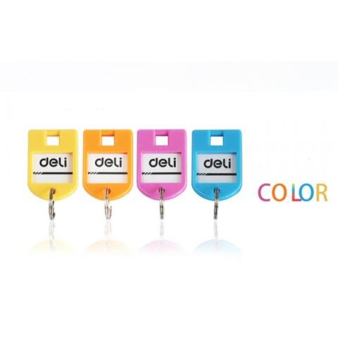 ALISSA-Assorted Key Plate Card Key Sign for Color Classification Key Holder (Pack of 2) 48pcs