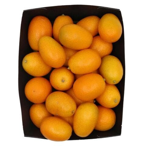 KUMQUAT ب