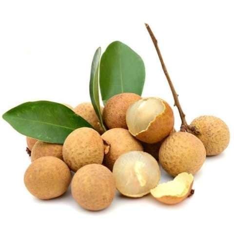 LONGAN PP