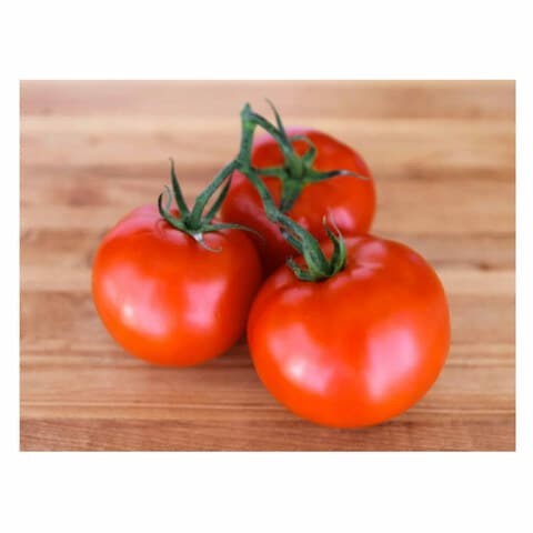 TOMATO BUNCH RED M/E