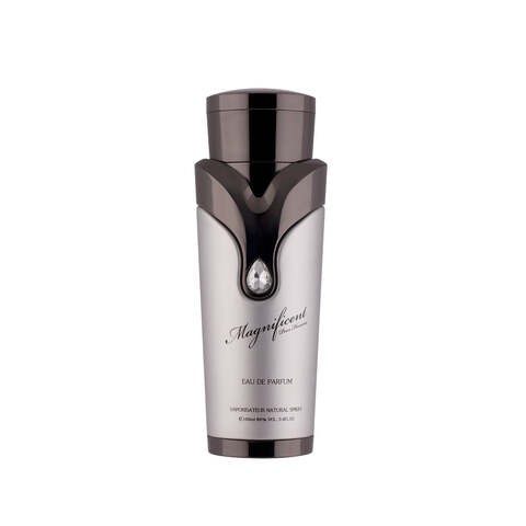 عطر Magnificent Homme من أرماف للرجال 100 مل أو دى بارفان