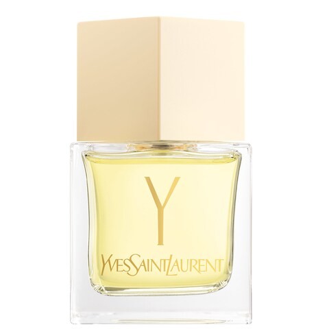 Yves Saint Laurent Wayne EDT 80 ml