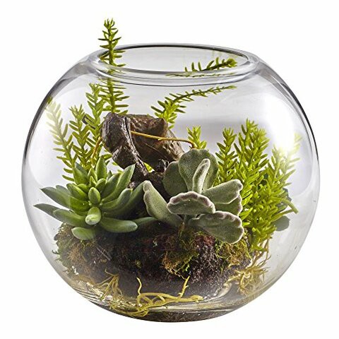 Nearly Natural 4564 Mix Succulent Garden with Glass Vase