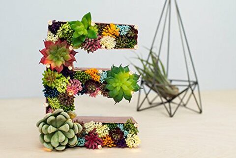 Neomark 4 Pack Flocked Green Artificial Succulent Cactus Plants Echeveria Unpotted Long Stem for Wreath Making Wedding Bouquet Making 3.33 Wide x 5 Tall