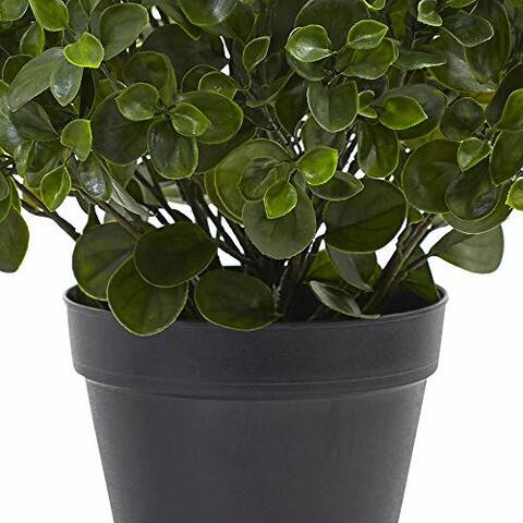 Nearly Natural Peperomia Indoor/Outdoor UV Resistant Plant, 23